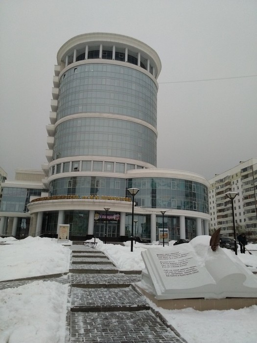 м. лермонтова м. м. библиотека лермонтова пенза. библиотека имени лермонтова пенза официальный сайт.