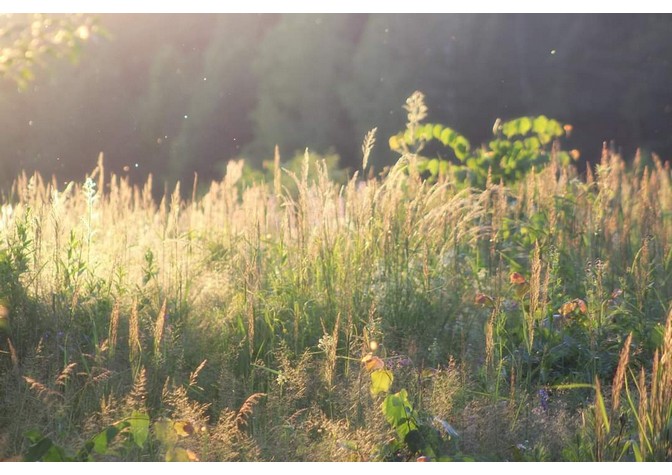 Литературно-музыкальная композиция «Я свете тихий на руки возьму…»