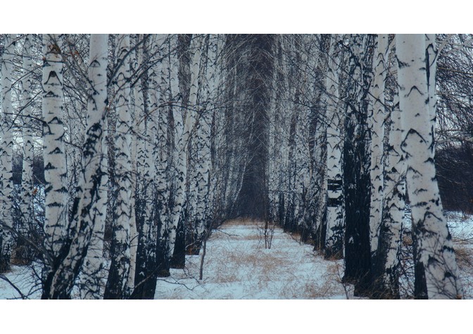 Показ фильма «Но мы остаемся здесь»