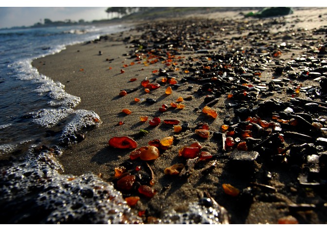 Презентация литературного журнала «Берега» 