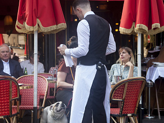 Кафе «Ротонда». Август 2017. Фото Светланы Урбан