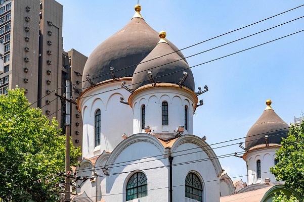 Купола Кафедрального собора. Ноябрь 2022. Фото Елизаветы Кириной