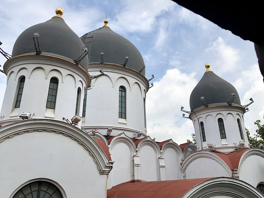 Купола Кафедрального собора. Август 2018. Фото Михаила Дроздова