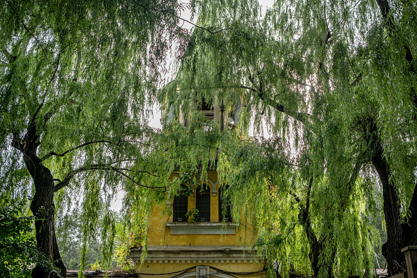 Надвратная колокольня со стороны парка развлечений. Сентябрь 2024. Фото Елизаветы Кириной